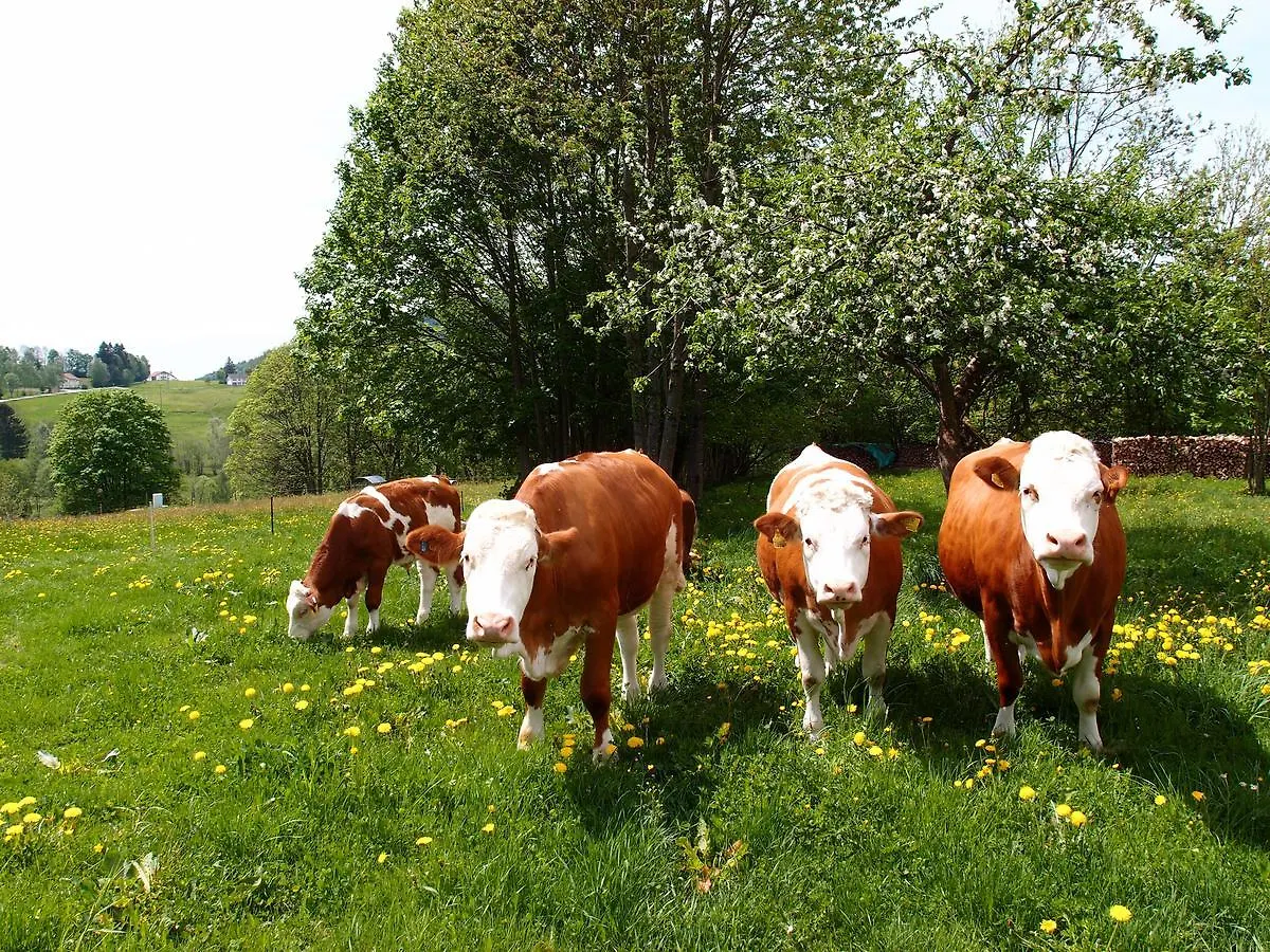 Hotel Landhotel Bayerwald Grafling