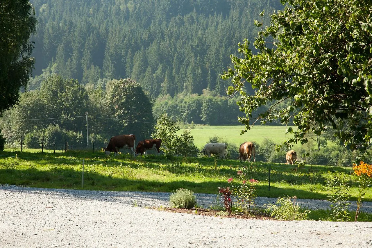 Landhotel Bayerwald Grafling 3*,  Germany